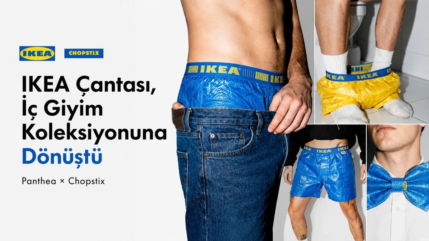 ikea-bag-tr.png