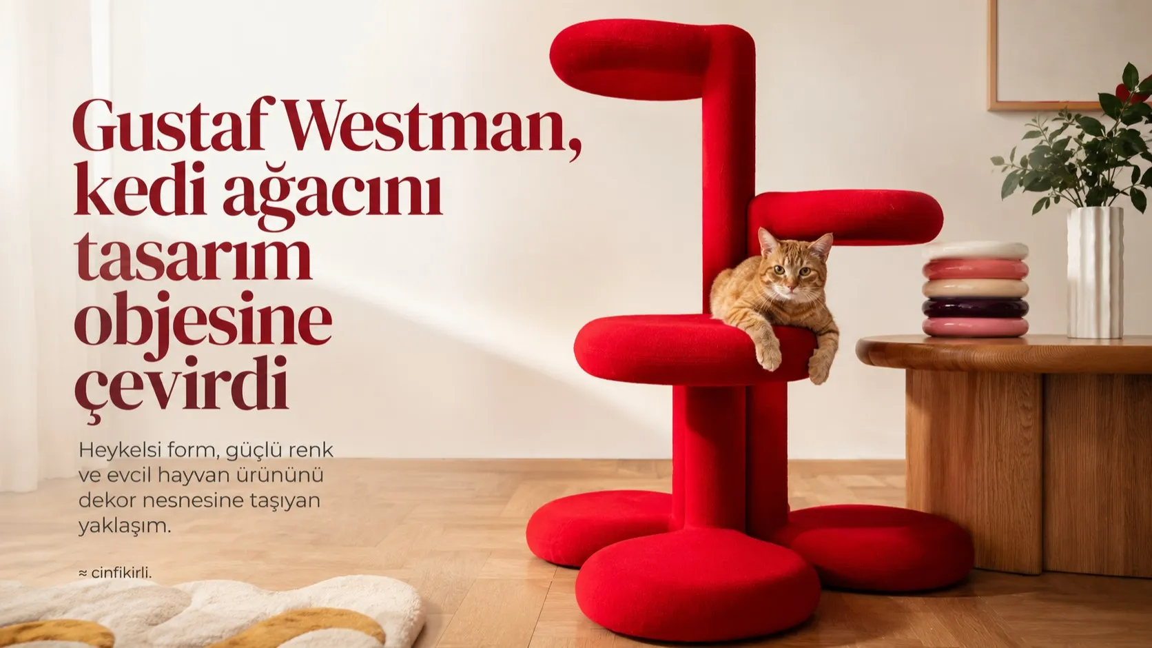 kedi-tırmalama-tasarim.png