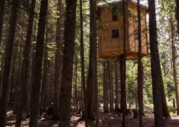 Dünyanın İlk 360 Derece Dönen Ağaç Evi