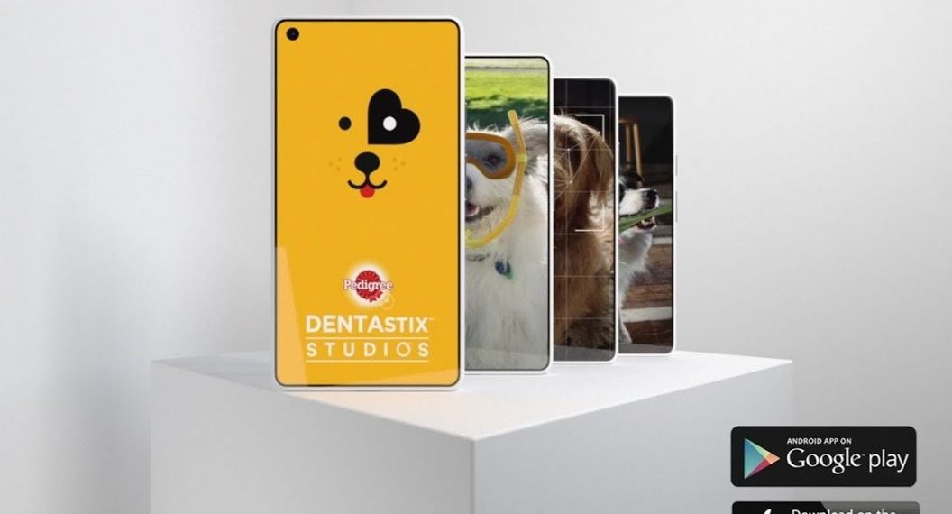 Köpekler İçin Sosyal Medya Uygulaması