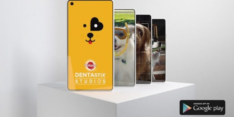 Köpekler İçin Sosyal Medya Uygulaması