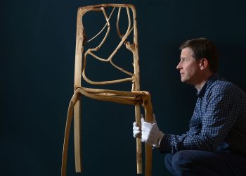 Ağaçları Mobilya Olarak Yetiştirmek