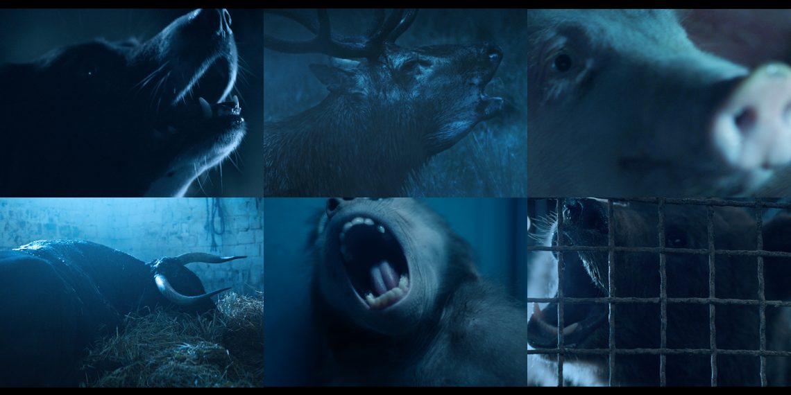 Hayvan İstismarına Karşı Etkileyici Bir Kampanya