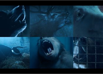 Hayvan İstismarına Karşı Etkileyici Bir Kampanya