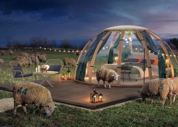 Uyku Sorunu Yaşayanlar İçin Etrafı Koyunlarla Çevrili Oda