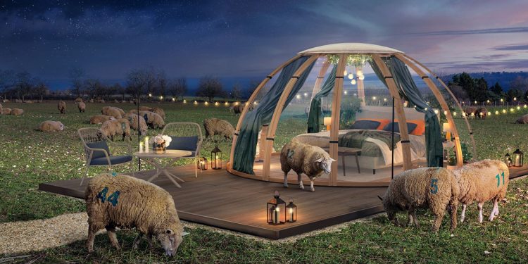 Uyku Sorunu Yaşayanlar İçin Etrafı Koyunlarla Çevrili Oda