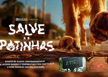 Yaz Aylarında Evcil Hayvan Patilerini Yanıklardan Koruyan Yer İşaretleri