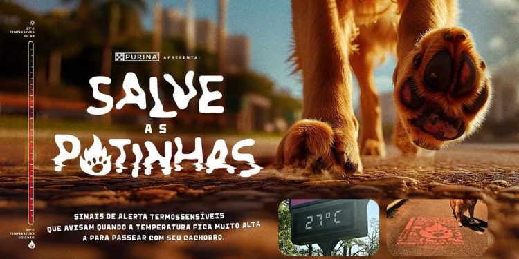 Yaz Aylarında Evcil Hayvan Patilerini Yanıklardan Koruyan Yer İşaretleri